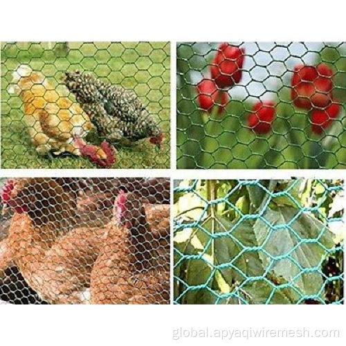 Factory Hexagonal Wire Netting For Chicken pvc coated/Galvanized Hexagonal Chicken Wire Mesh Supplier